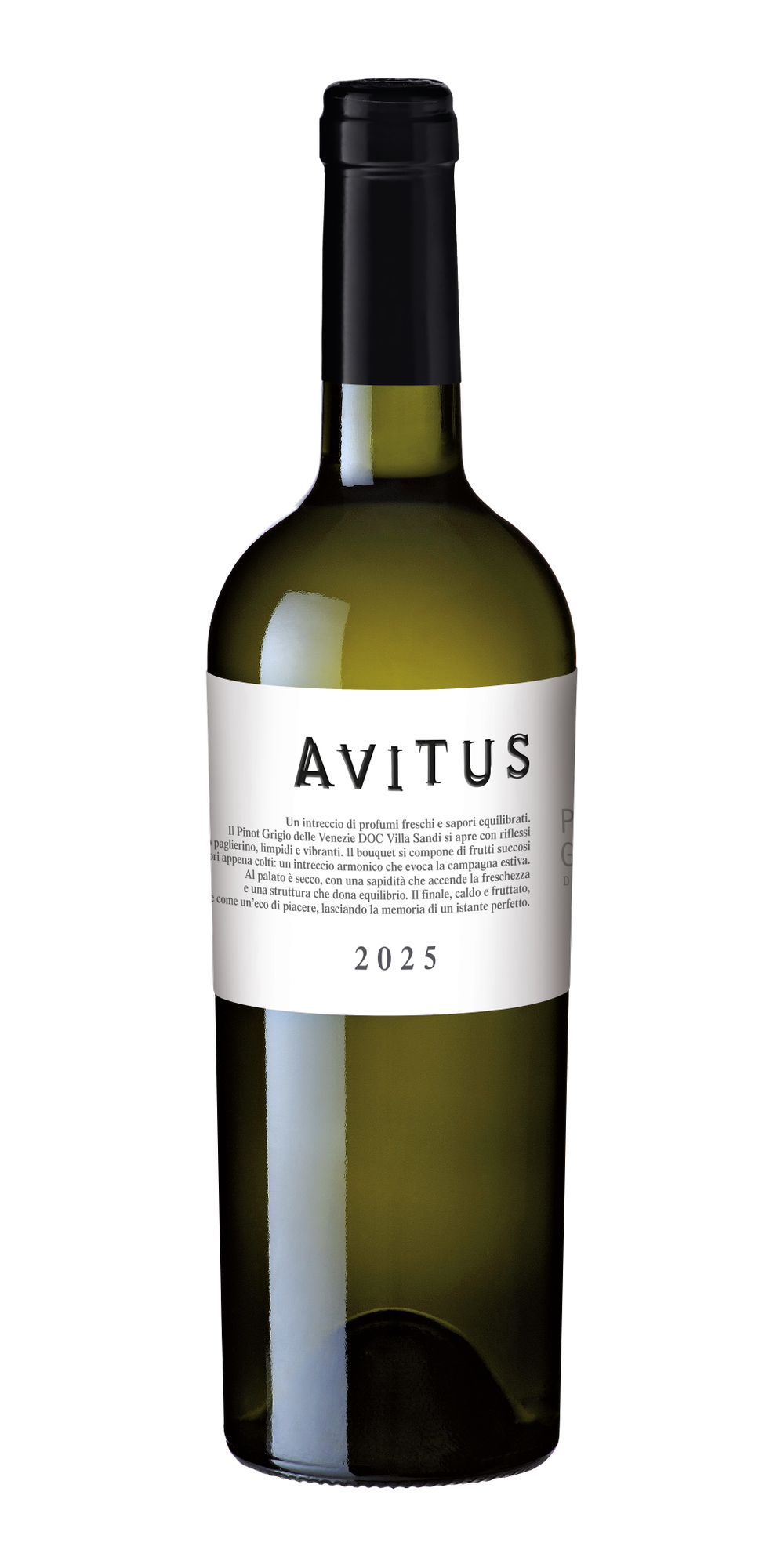 Avitus Pinot Grigio delle Venezie DOC