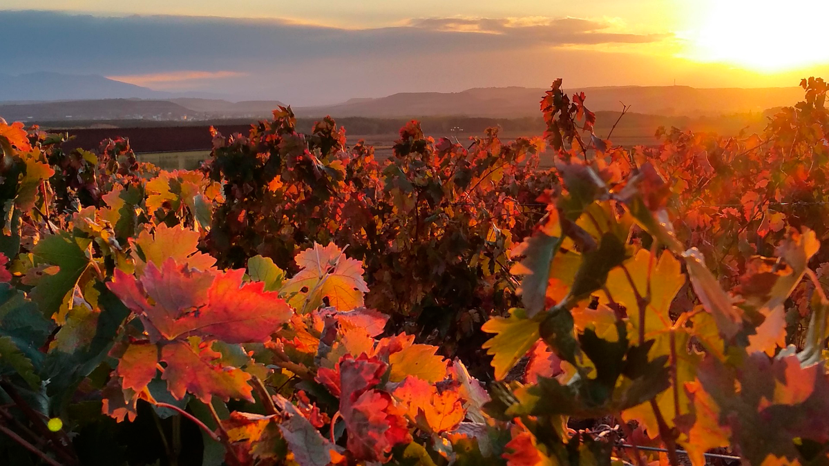 Rioja