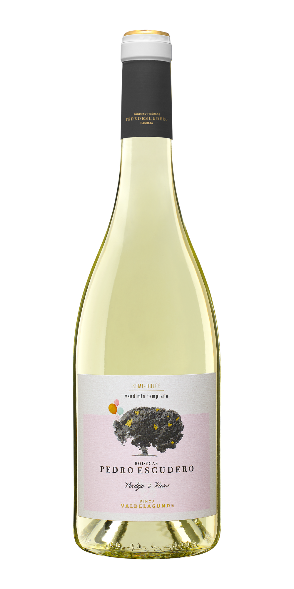 Pedro Escudero Semidulce V.T. Castilla y León