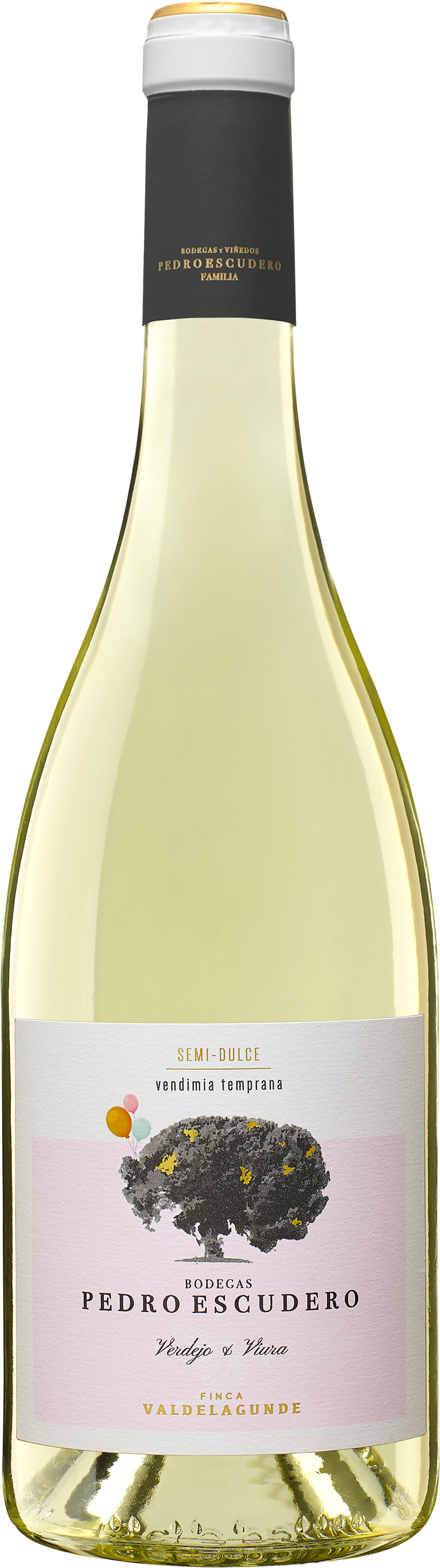 Pedro Escudero Semidulce V.T. Castilla y León