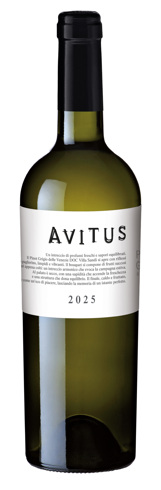Avitus Pinot Grigio delle Venezie DOC