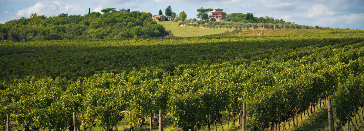 Villa Trasqua