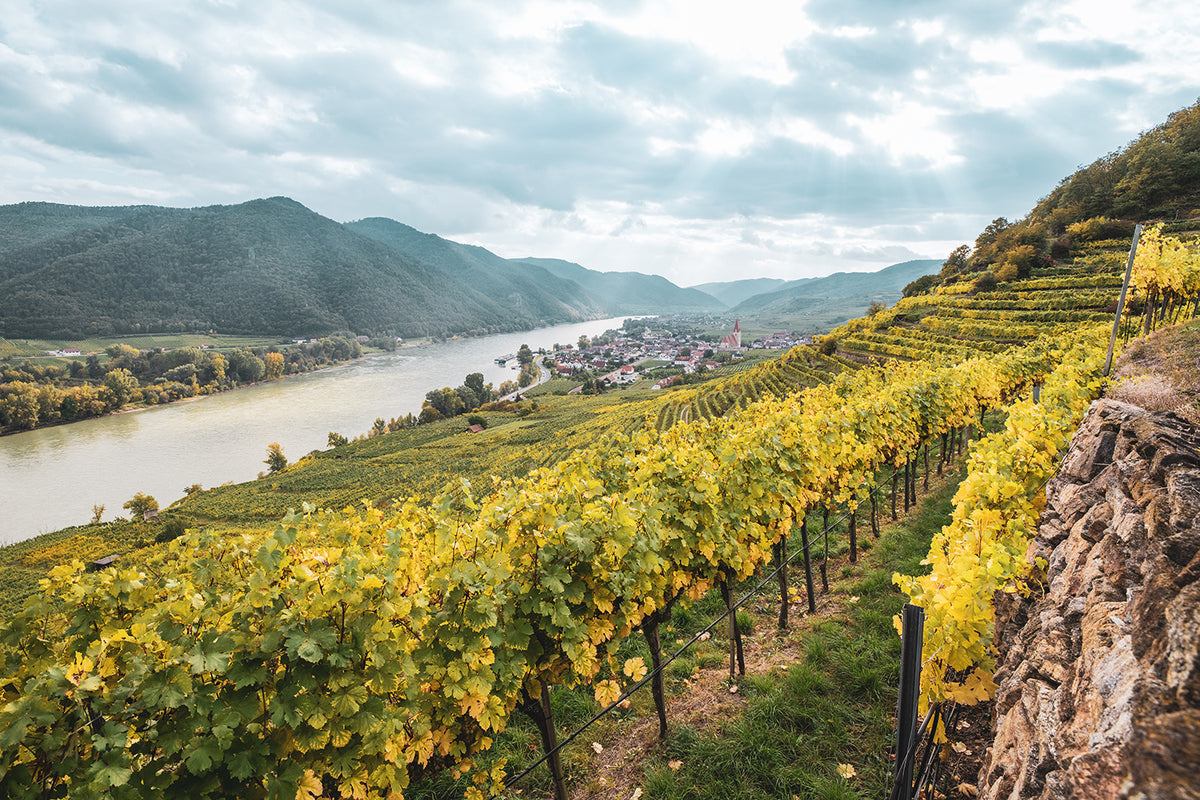 Wachau: DAC & Federspiel