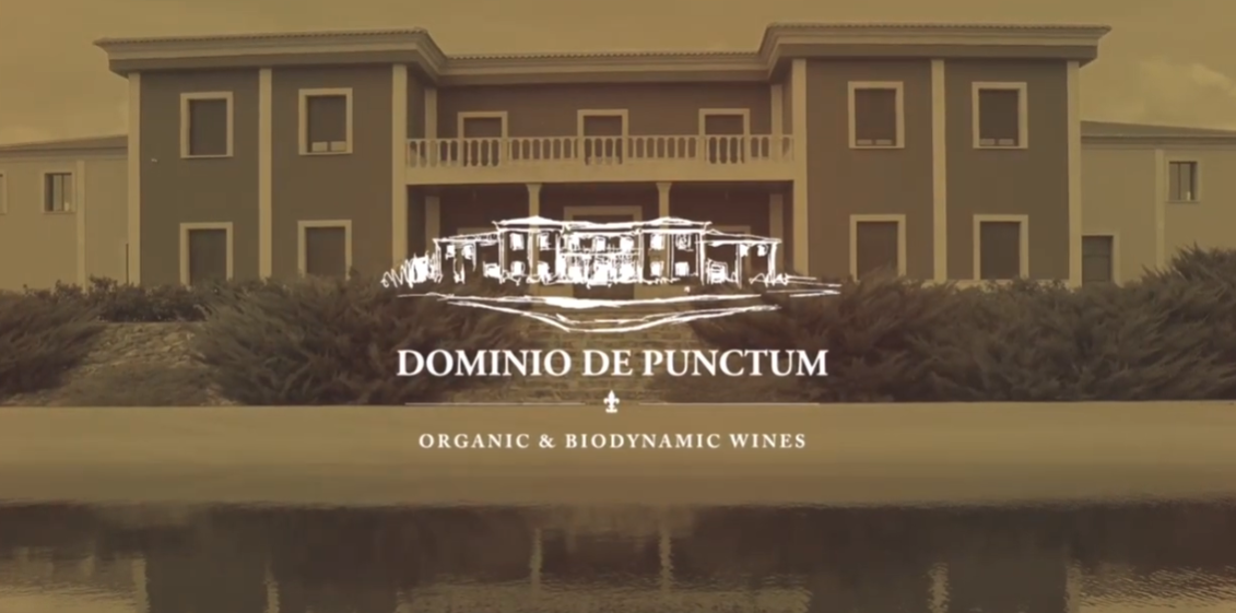 Dominio de Punctum
