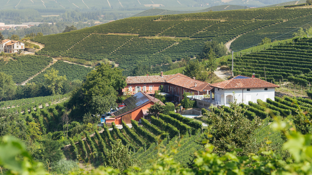 Barolo