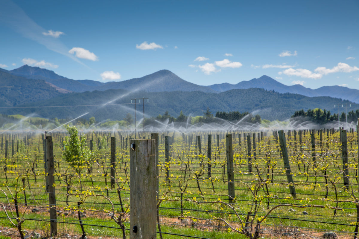 Marlborough & Wairau Valley