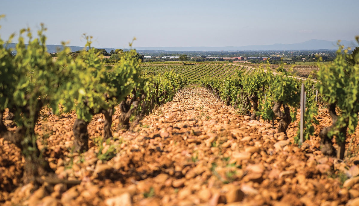 Châteauneuf-du-Pape