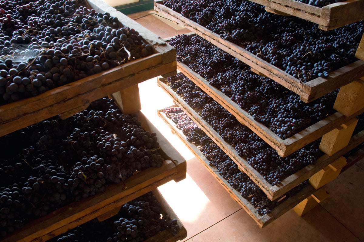 Amarone & Ripasso