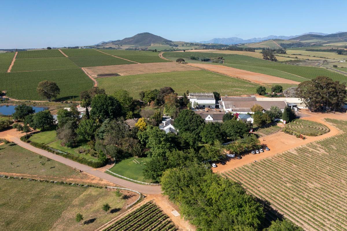Pinotage