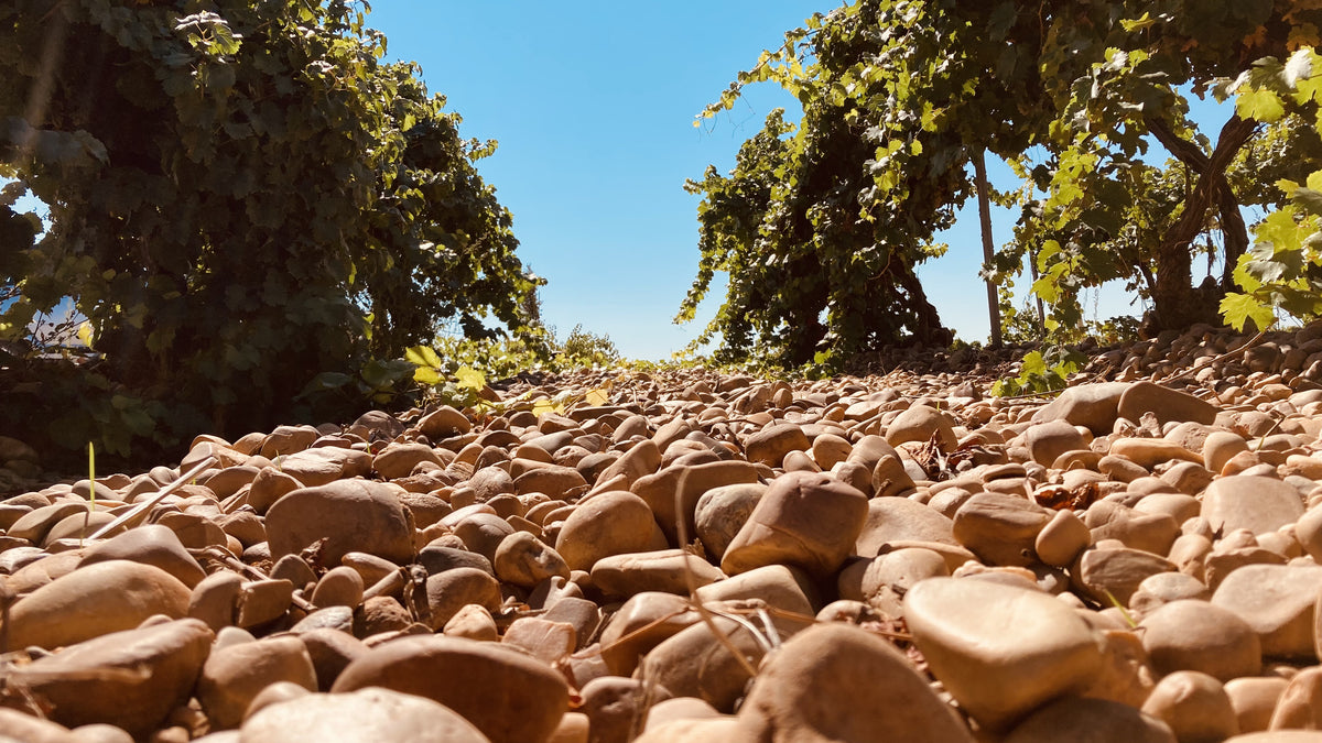 Verdejo & Rueda