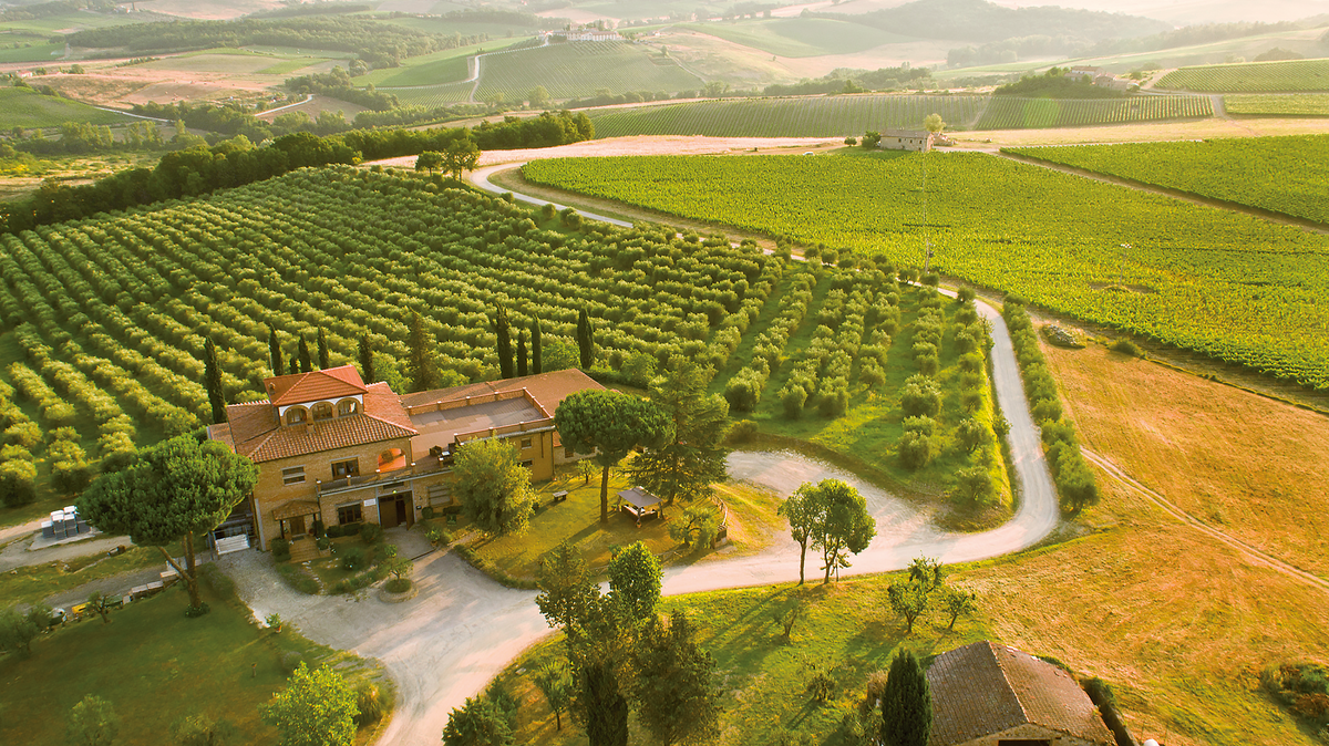 Chianti & Chianti Classico