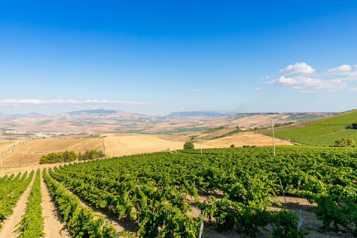 Nero d’Avola
