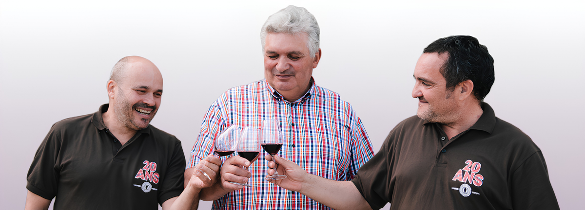  Les Vins de Vienne